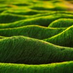 Unlocking Growth: Top Marketing Trends to Watch in 2024 You Can’t Ignore