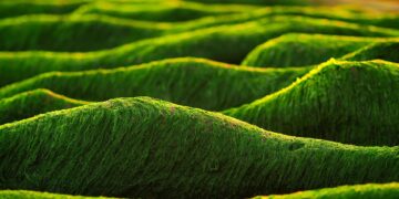 Unlocking Growth: Top Marketing Trends to Watch in 2024 You Can’t Ignore