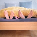 Mortgage Rates Drop: Is Now the Perfect Time to Buy a Home?