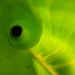 Market Momentum Shifts: Key Price Action Trends to Watch This Week
